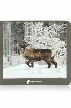 Animales Polares
