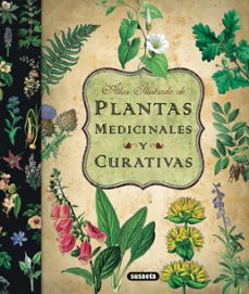 Plantas Medicinales Y Curativa: Atlas Ilustrado