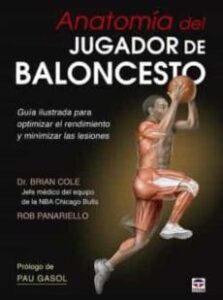 Anatomía Del Jugador De Baloncesto