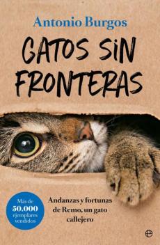 Gatos Sin Fronteras: Andanzas Y Fortunas De Remo, Un Gato Calleje Ro