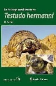 La Tortuga Mediterranea: Testudo Hermanni