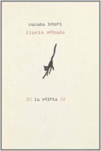 Lluvia Menuda