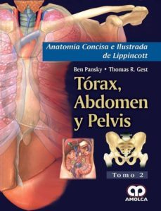 Anatomia Concisa E Ilustrada De Lippincott, Vol. 2: Torax, Abdomen Y Pelvis